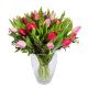 Red and Pink Tulips