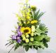 Yellow and Purple arrangement