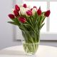 Bouquet of White and Red Tulips