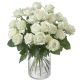 Pearl White Roses