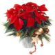 Red Poinsettia Christmas Style