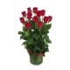 12 Red Roses in Vase