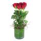 6 Red Roses in Vase