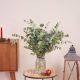 Eucalyptus bunch