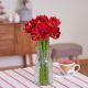 Amaryllis bunch