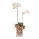 Floral arrangement with white orchid