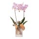 Floral arrangement with pink orchid
