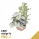 Plant Bowl