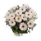 Bouquet of White Gerbera Daisies