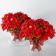 Happiest Holidays Poinsettia Bundle