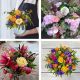 Florist Choice Arrangement - Brights-Min