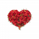 Funeral Heart Red  with Ribbon 248042