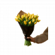 Easter Tulips 240131
