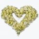 Funeral Heart Cream with ribbon 248016