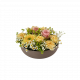 Spring Bowl 250333