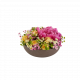 Summer Bowl 250334