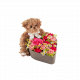 Love Heart and Teddy 250338