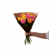 Roses for spring 242625