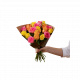 Roses for Spring 242626