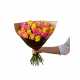 Roses for Spring 242627