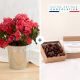 Azalee et ses chocolats - Azalea and chocolates