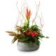 Indoor plant pot Harmony of colors