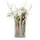 Indoor plant 'Lifestyle' orchid in vase