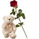 Send 1-Red-Rose-with-teddy-bear-white to Liechtenstein