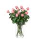 Send 12-Pink-Roses-Min to Austria