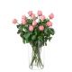 Send 12-Pink-Roses to Austria