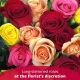Send 12-Roses-Long-Stem to Andorra