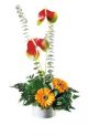 Send Basket-Arrangement to Jamaica
