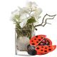 Send Best-of-Luck-with-chocolate-ladybird to Liechtenstein