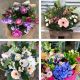 Send Bouquet-of-Seasonal-Flowers to United Kingdom