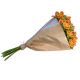 Send Bundle-of-orange-Alstroemeria to Liechtenstein