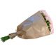 Send Bundle-of-pink-Carnations to Liechtenstein