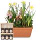 Send Cheerful-Little-Spring-Garden-with-honey-gift-set to Switzerland