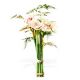 Send Christmas-Amaryllis-Min to Germany