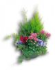 Send Coupe-de-plantes to Luxembourg