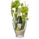Send Elegance-Prosecco-Albino-Armani-DOC-75-cl-incl-ice-bucket to Switzerland