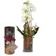 Send Enchantment-orchid-with-vase-with-Gottlieber-cocoa-almonds-and-hanging-gift-tag-Happy-Birthday to Switzerland