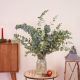 Send Eucalyptus-bunch to Portugal