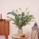 Send Eucalyptus-bunch to Spain