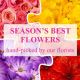 Send Florist-Choice to South Africa