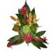Funeral Arrangement