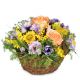 Send Gift-of-Spring to Switzerland