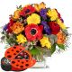 Send Happy-with-chocolate-ladybird to Switzerland