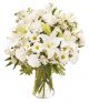 Send Harmony-in-White to Puerto Rico