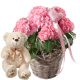 Send Hydrangea-pink-with-Heart-and-teddy-bear-white to Liechtenstein