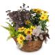 Send Indian-Summer-Garden to Switzerland